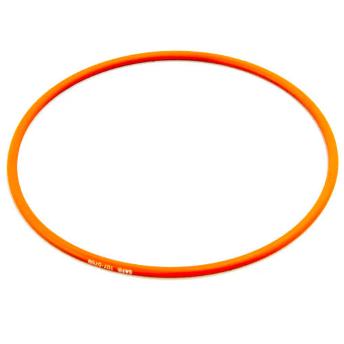 CAT Seal O Ri | 1075769