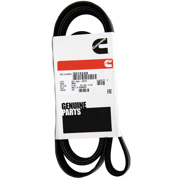 Cummins Belt-V Ribbed | 3974249