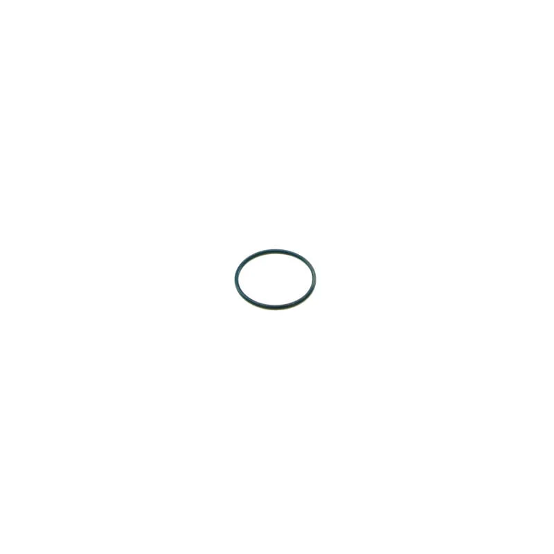 Cummins Seal-O Ring | 3347937