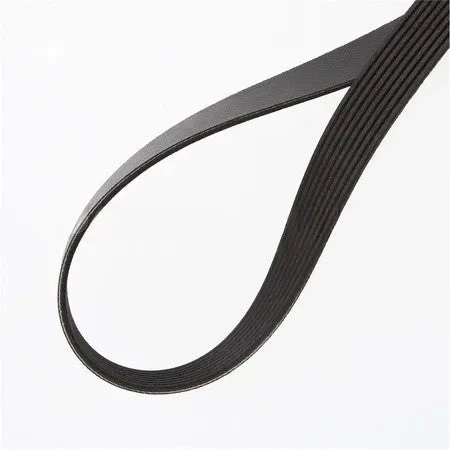 Dynacraft Belt-Poly 6 Ribs X 45 El | 450K6BLT