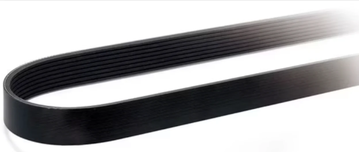 Elite Belt - 10 Rib 2375Mm (93.50") | ETP-10PK2375